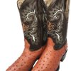 Men's Cowboy Boots Ostrich Print Leather Western Rodeo Botas Liga de Avestruz