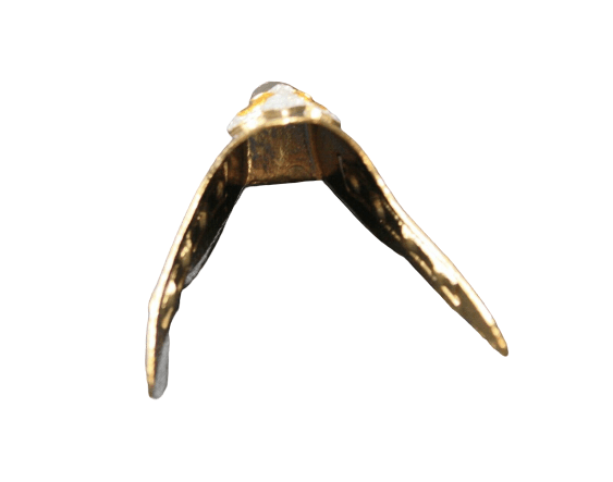s-l1600-removebg-preview-1.png Boot Tips Set - Eagle Gold Tone Nickel Plated Southwestern