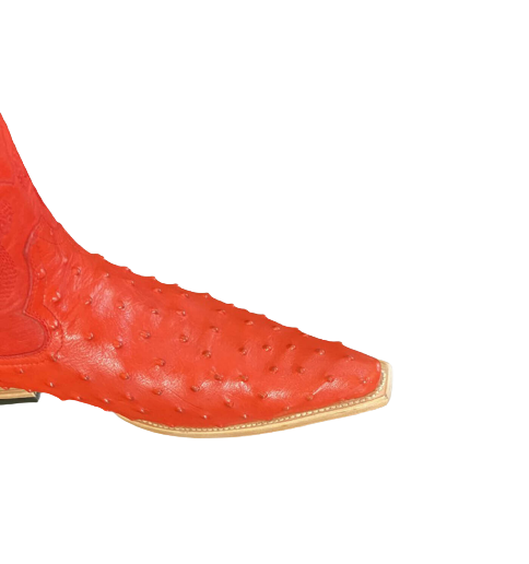 s-l1600-removebg-preview-10-1.png Men's Snip Toe Boots Cowboy Ostrich Print Leather Western Snip Toe Red Boots Handcrafted